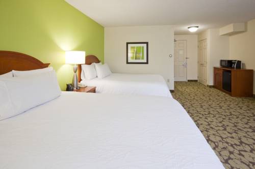 Imagen de la habitación del Hotel Hilton Garden Inn Minneapolis Saint Paul-shoreview. Foto 4