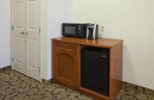 Imagen de la habitación del Hotel Hilton Garden Inn Minneapolis Saint Paul-shoreview. Foto 6
