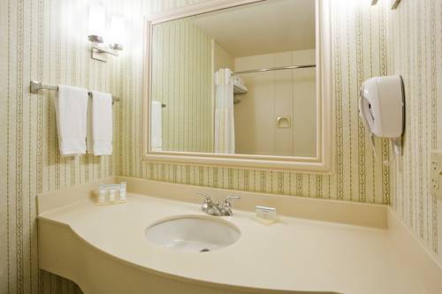 Imagen de la habitación del Hotel Hilton Garden Inn Minneapolis Saint Paul-shoreview. Foto 7