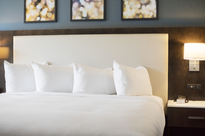 Imagen de la habitación del Hotel Hilton Garden Inn Minneapolis University Area. Foto 2