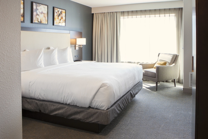 Imagen de la habitación del Hotel Hilton Garden Inn Minneapolis University Area. Foto 5