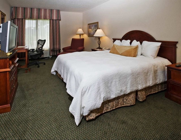 Imagen de la habitación del Hotel Hilton Garden Inn Montgomery East. Foto 4