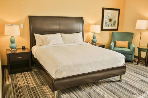 Imagen de la habitación del Hotel Hilton Garden Inn Murfreesboro. Foto 3