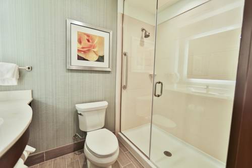 Imagen de la habitación del Hotel Hilton Garden Inn Murfreesboro. Foto 5
