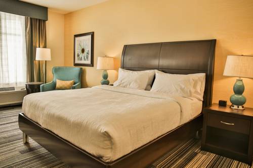 Imagen de la habitación del Hotel Hilton Garden Inn Murfreesboro. Foto 9