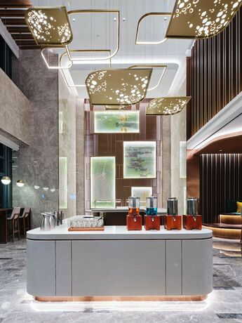 Imagen general del Hotel Hilton Garden Inn Nantong Rudong. Foto 10