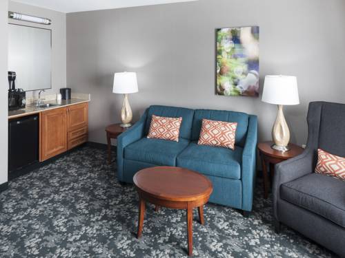 Imagen de la habitación del Hotel Hilton Garden Inn Naperville/warrenville. Foto 3