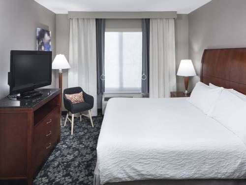 Imagen de la habitación del Hotel Hilton Garden Inn Naperville/warrenville. Foto 6