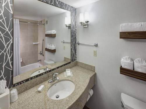 Imagen de la habitación del Hotel Hilton Garden Inn Naperville/warrenville. Foto 9