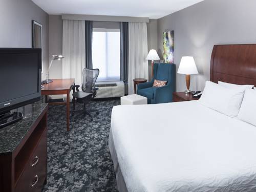 Imagen de la habitación del Hotel Hilton Garden Inn Naperville/warrenville. Foto 13
