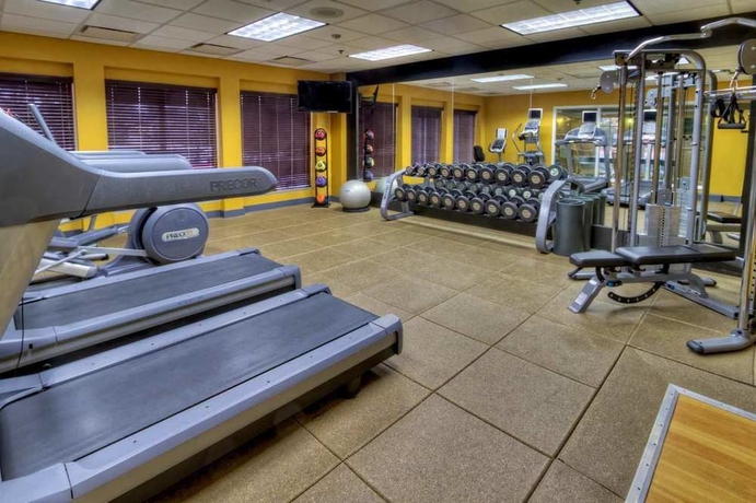 Imagen de los interiores del Hotel Hilton Garden Inn Nashville Airport. Foto 9