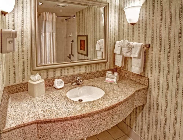 Imagen de la habitación del Hotel Hilton Garden Inn Nashville Airport. Foto 8