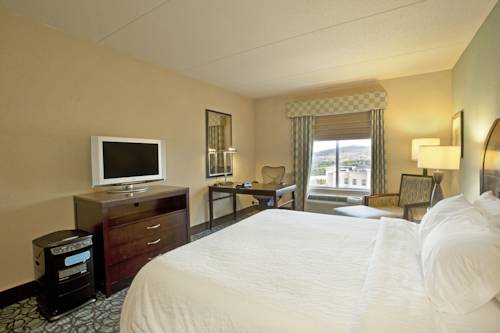 Imagen de la habitación del Hotel Hilton Garden Inn Nashville/smyrna. Foto 2