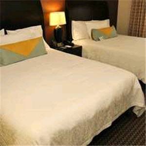 Imagen de la habitación del Hotel Hilton Garden Inn New Braunfels. Foto 3