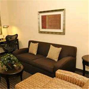 Imagen de la habitación del Hotel Hilton Garden Inn New Braunfels. Foto 5