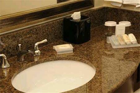 Imagen de la habitación del Hotel Hilton Garden Inn New Braunfels. Foto 9