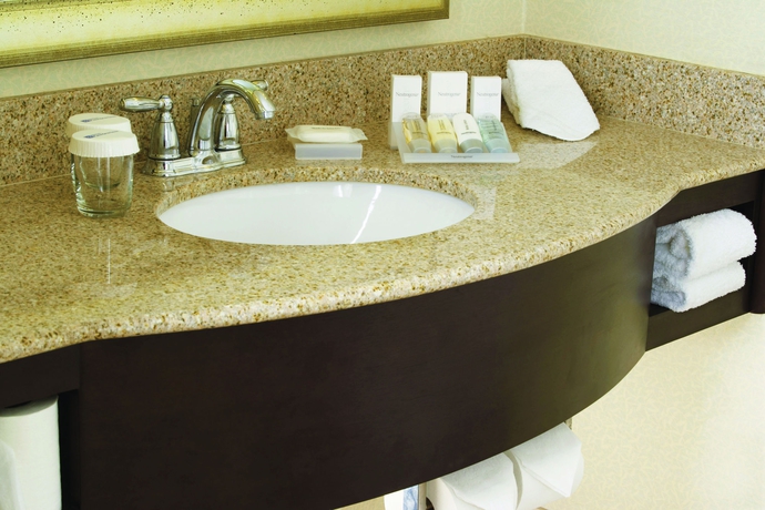 Imagen de la habitación del Hotel Hilton Garden Inn New Delhi/saket. Foto 8