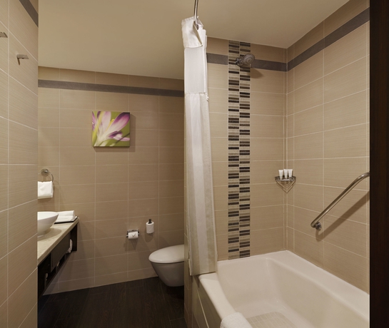 Imagen de la habitación del Hotel Hilton Garden Inn New Delhi/saket. Foto 9