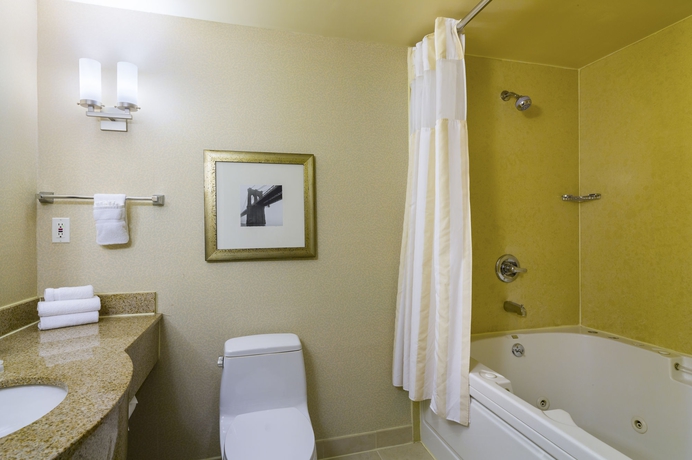 Imagen de la habitación del Hotel Hilton Garden Inn New York/tribeca. Foto 9