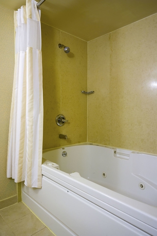 Imagen de la habitación del Hotel Hilton Garden Inn New York/tribeca. Foto 10