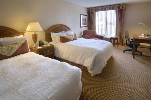 Imagen general del Hotel Hilton Garden Inn Newport News. Foto 1