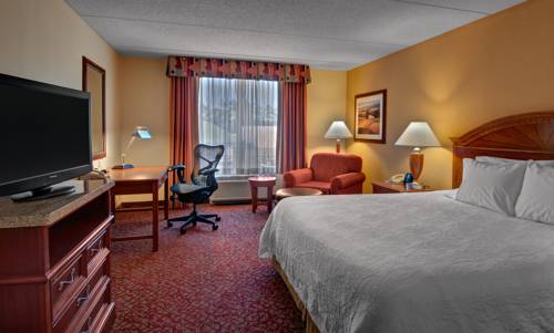Imagen de la habitación del Hotel Hilton Garden Inn Newport News. Foto 3
