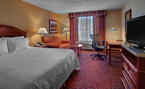 Imagen de la habitación del Hotel Hilton Garden Inn Newport News. Foto 4