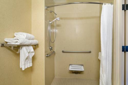 Imagen de la habitación del Hotel Hilton Garden Inn Newport News. Foto 5