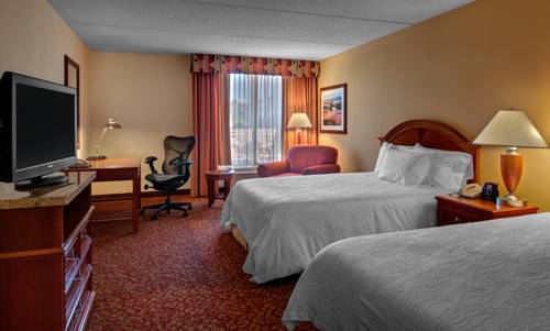 Imagen de la habitación del Hotel Hilton Garden Inn Newport News. Foto 6