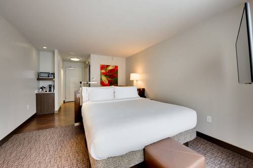 Imagen de la habitación del Hotel Hilton Garden Inn North Houston Spring. Foto 4