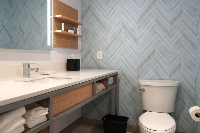 Imagen de la habitación del Hotel Hilton Garden Inn Ocala Downtown. Foto 10