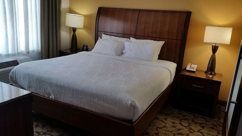 Imagen de la habitación del Hotel Hilton Garden Inn Olathe. Foto 13