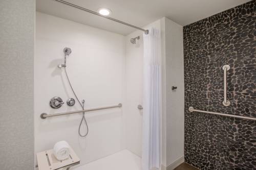 Imagen de la habitación del Hotel Hilton Garden Inn Olympia. Foto 5