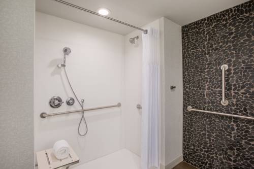 Imagen de la habitación del Hotel Hilton Garden Inn Olympia. Foto 6