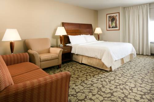 Imagen de la habitación del Hotel Hilton Garden Inn Omaha West. Foto 3