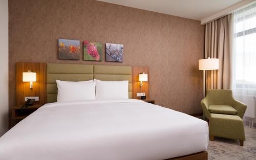 Imagen de la habitación del Hotel Hilton Garden Inn Orenburg. Foto 6