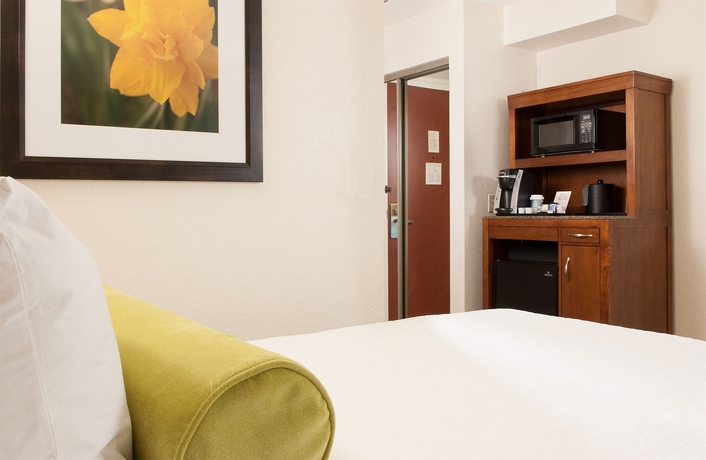 Imagen de la habitación del Hotel Hilton Garden Inn Orlando Airport. Foto 6