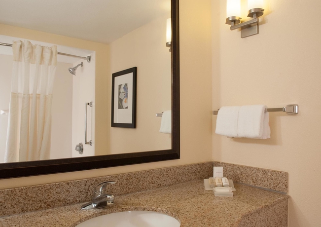Imagen de la habitación del Hotel Hilton Garden Inn Orlando Airport. Foto 9