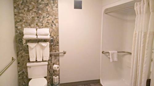 Imagen de la habitación del Hotel Hilton Garden Inn Owings Mills. Foto 7
