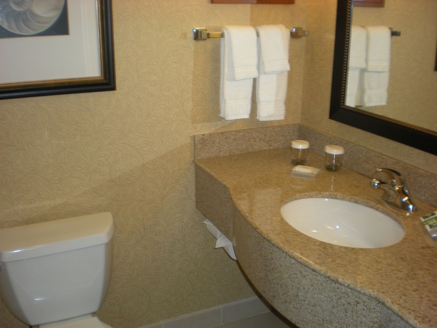 Imagen de la habitación del Hotel Hilton Garden Inn Palm Coast Town Center. Foto 8