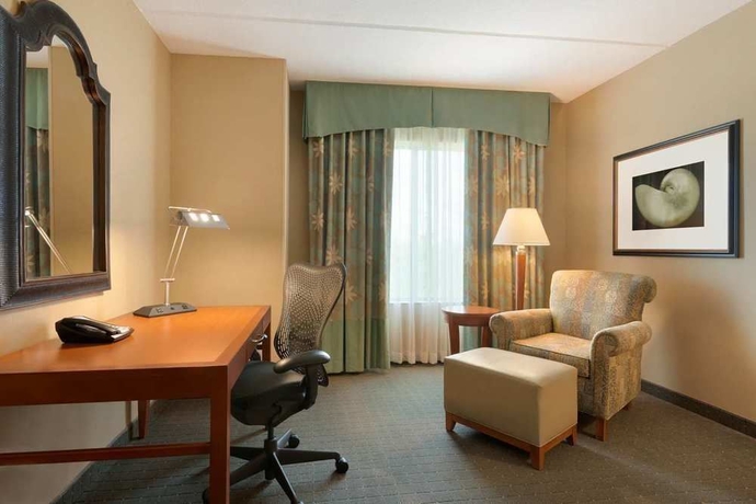 Imagen de la habitación del Hotel Hilton Garden Inn Palm Coast Town Center. Foto 11