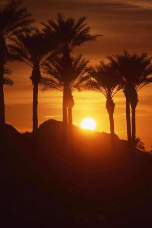 Imagen de los exteriores del Hotel Hilton Garden Inn Palm Springs - Rancho Mirage. Foto 8