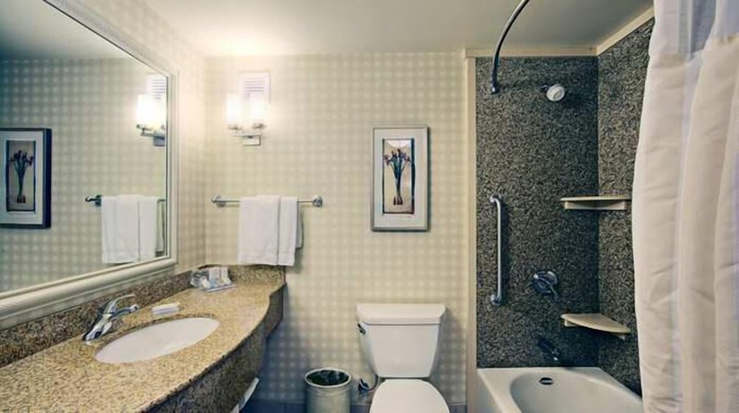 Imagen de la habitación del Hotel Hilton Garden Inn Palmdale. Foto 5