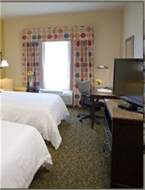 Imagen de la habitación del Hotel Hilton Garden Inn Pensacola Airport - Medical Center. Foto 4