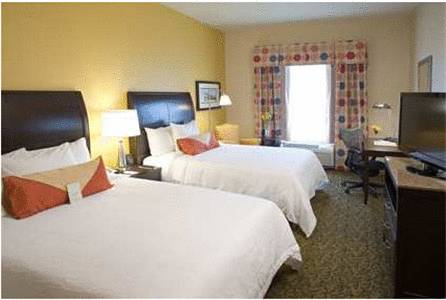Imagen de la habitación del Hotel Hilton Garden Inn Pensacola Airport - Medical Center. Foto 5