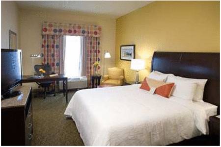 Imagen de la habitación del Hotel Hilton Garden Inn Pensacola Airport - Medical Center. Foto 6