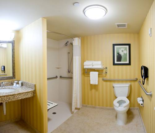 Imagen de la habitación del Hotel Hilton Garden Inn Pensacola Airport - Medical Center. Foto 7