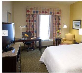 Imagen de la habitación del Hotel Hilton Garden Inn Pensacola Airport - Medical Center. Foto 9