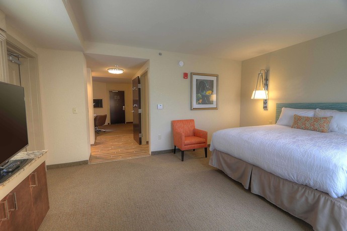 Imagen de la habitación del Hotel Hilton Garden Inn Pigeon Forge. Foto 6