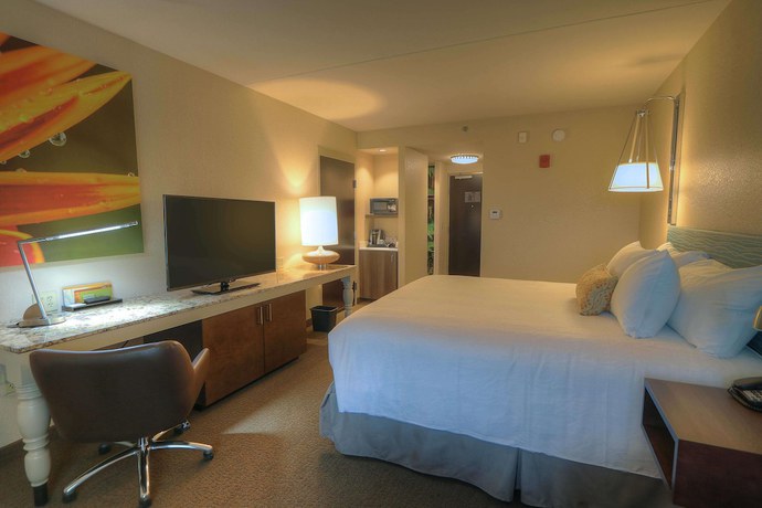 Imagen de la habitación del Hotel Hilton Garden Inn Pigeon Forge. Foto 10